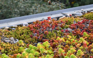 the cost of Duns Tew green roof installation