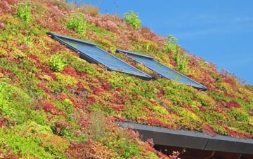 Duns Tew living roof systems